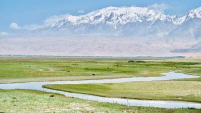 Taheman Wetland