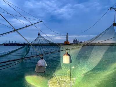 Sea fish farm experience (Compulsory Tour):