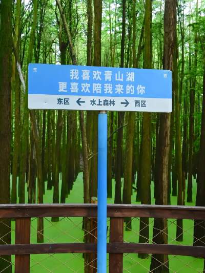 Qingshan Lake Forest Park + Boat Tour - Season on between 15  Nov - Feb
