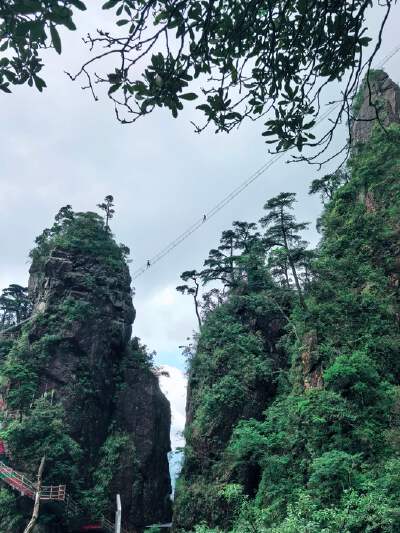Mangshan Five-Finger Peak Scenic Area (Compulsory Tour)