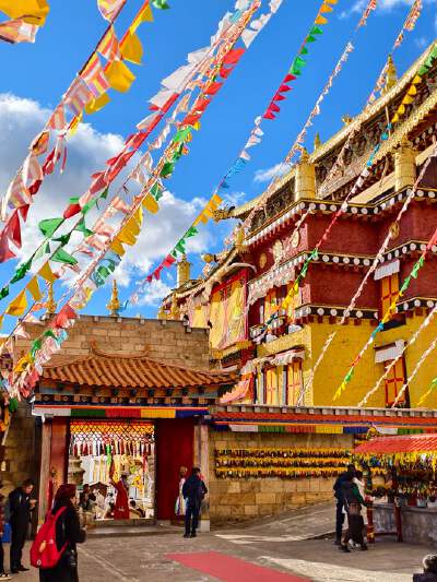 Songzanlin Monastery (includes Eco-Bus) + Tibetan CostumeExperience (with accessories):