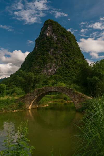 Yingxi Peak Forest