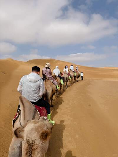 Camel Roller Coaster & Desert ATV