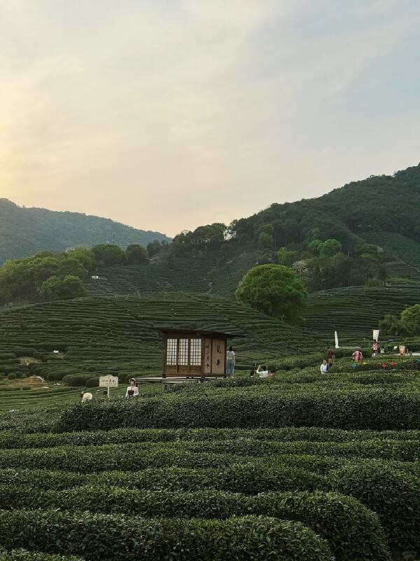 Shaoxing Ancient City > Hangzhou