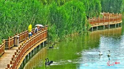 Zhangye Wetland Park