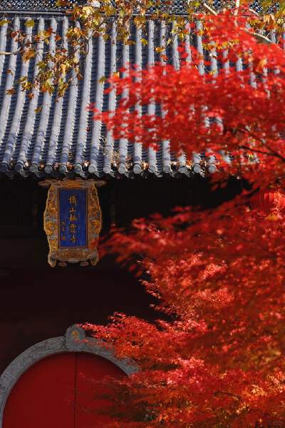 Qixia Mountain Park
