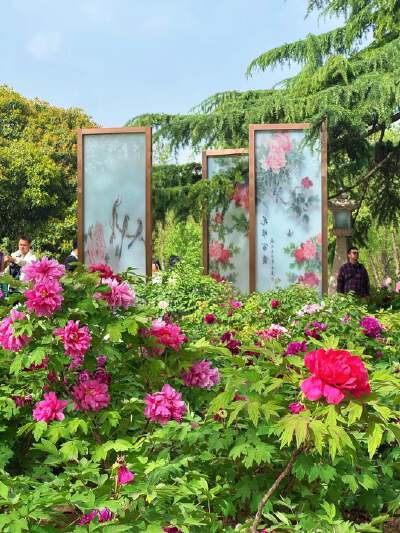 Remarks: April Month Seasonal Peony Garden