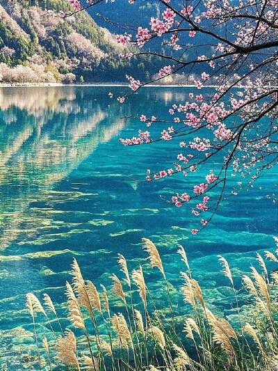 Jiuzhaigou (including shuttle bus ticket)