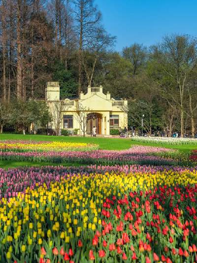 Taiziwan Park (Spring Tulip Festival)