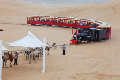 Camel Ride & Desert Sightseeing Train