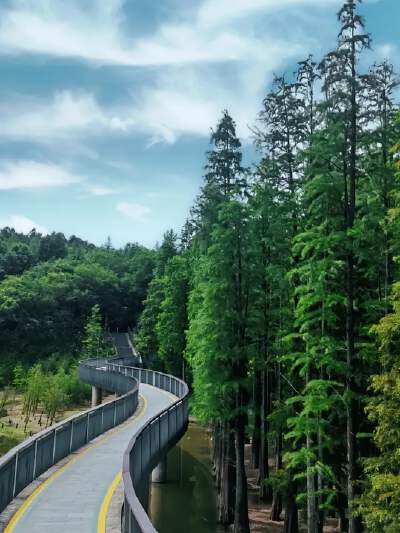 Qingshan Lake Forest Park + Boat Tour - Season on between 15  Nov - Feb