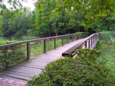 Changguangxi Wetland Park