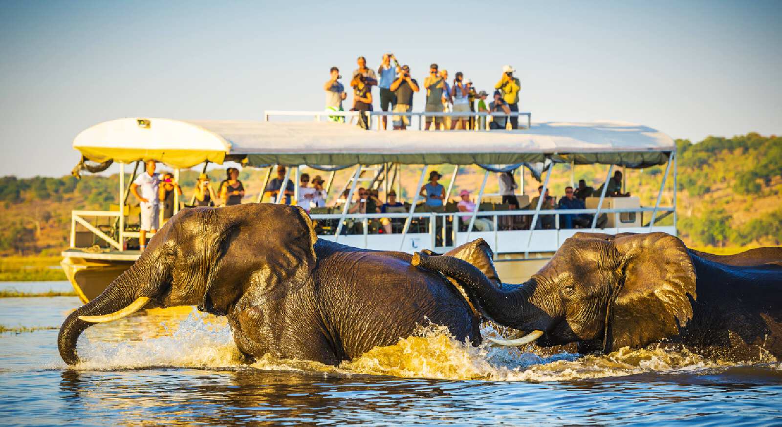 Amazing South Africa and Victoria Falls
