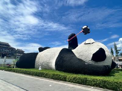 Yangtianwo Panda Square