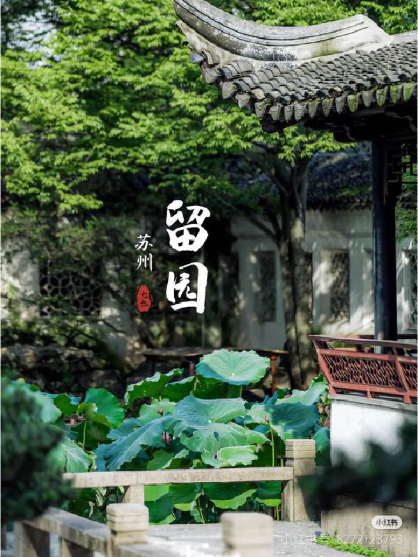 Wuzhen > Suzhou