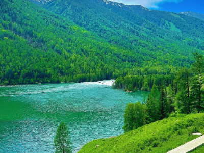 Coach to Jiadengyu