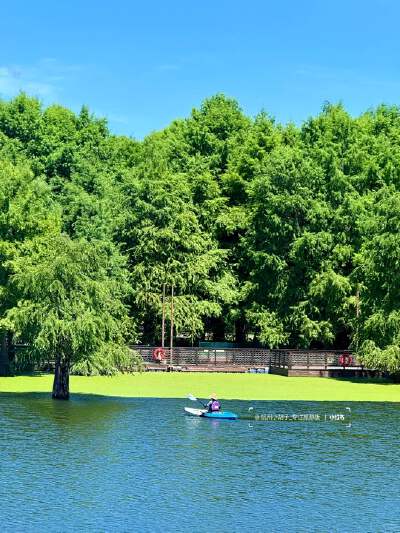 Qingshan Lake Forest Park + Boat Tour - Season on between 15  Nov - Feb