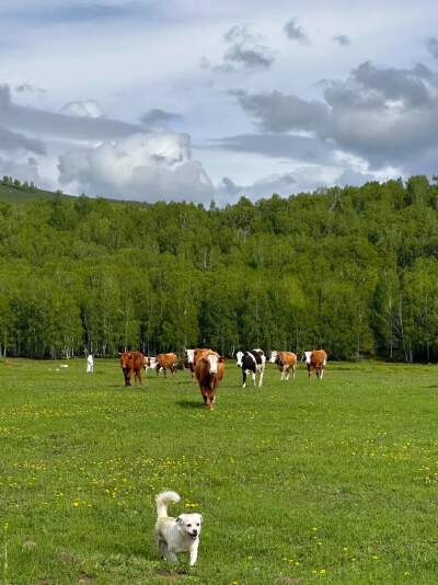 Hemu Village Scenic Area (includes shuttle bus):