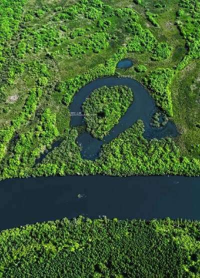 Erguna Wetlands (including electric cart)