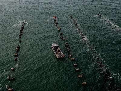 Oyster-Raft Sea Experience