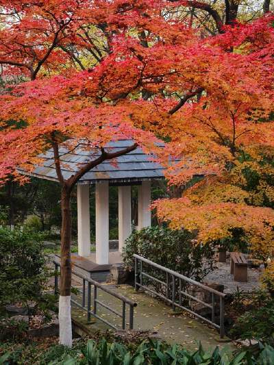 Qixia Mountain Park