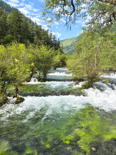 Jiuzhaigou (including shuttle bus ticket)