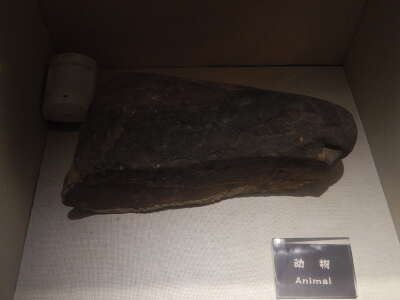 Helan Mountain Rock Art