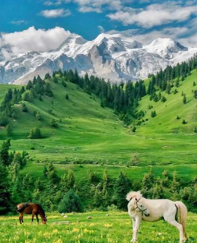 Optional horseback riding for 1-2 hours