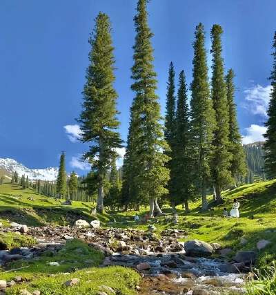 Shuttle Tour of Nalati Sky Grassland