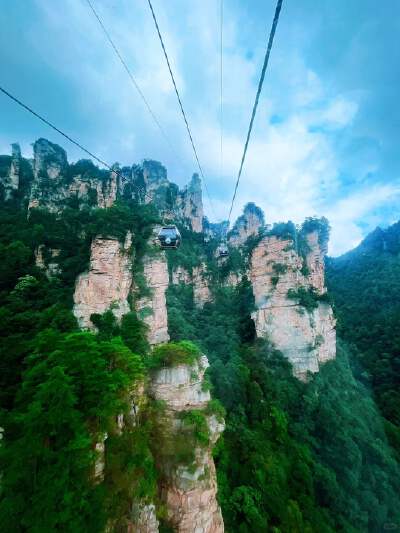 Tianzi Mountain (cable car down)