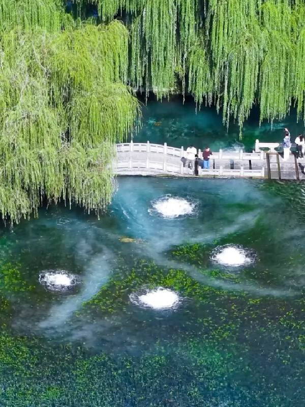 Mingshui · Zibo BBQ · Weifang Kite