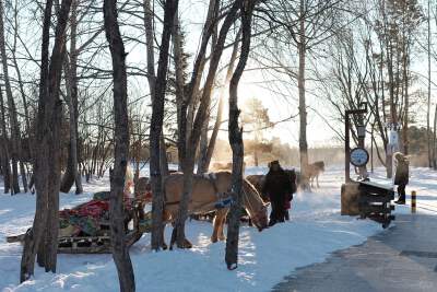 Arctic Sandbank Scenic Area, Arctic Pavilion