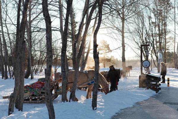 Arctic Village> Mohe 1.5 hours