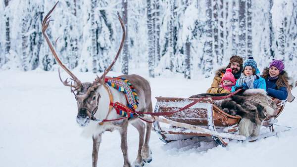 KIRUNA 基律纳 > REINDEER FARM 麋鹿农场 > LAPLAND拉普兰德