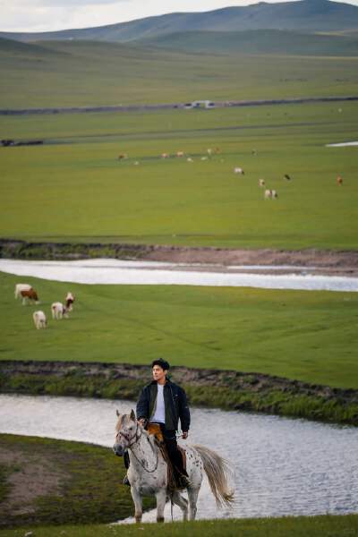 Horseback Riding