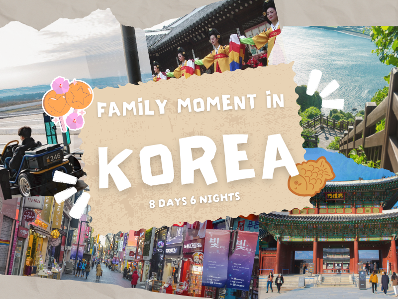 8D6N Family Moments In Jeju & Seoul