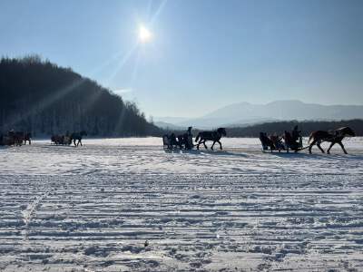 Experience Horse-Drawn Sleigh Ride