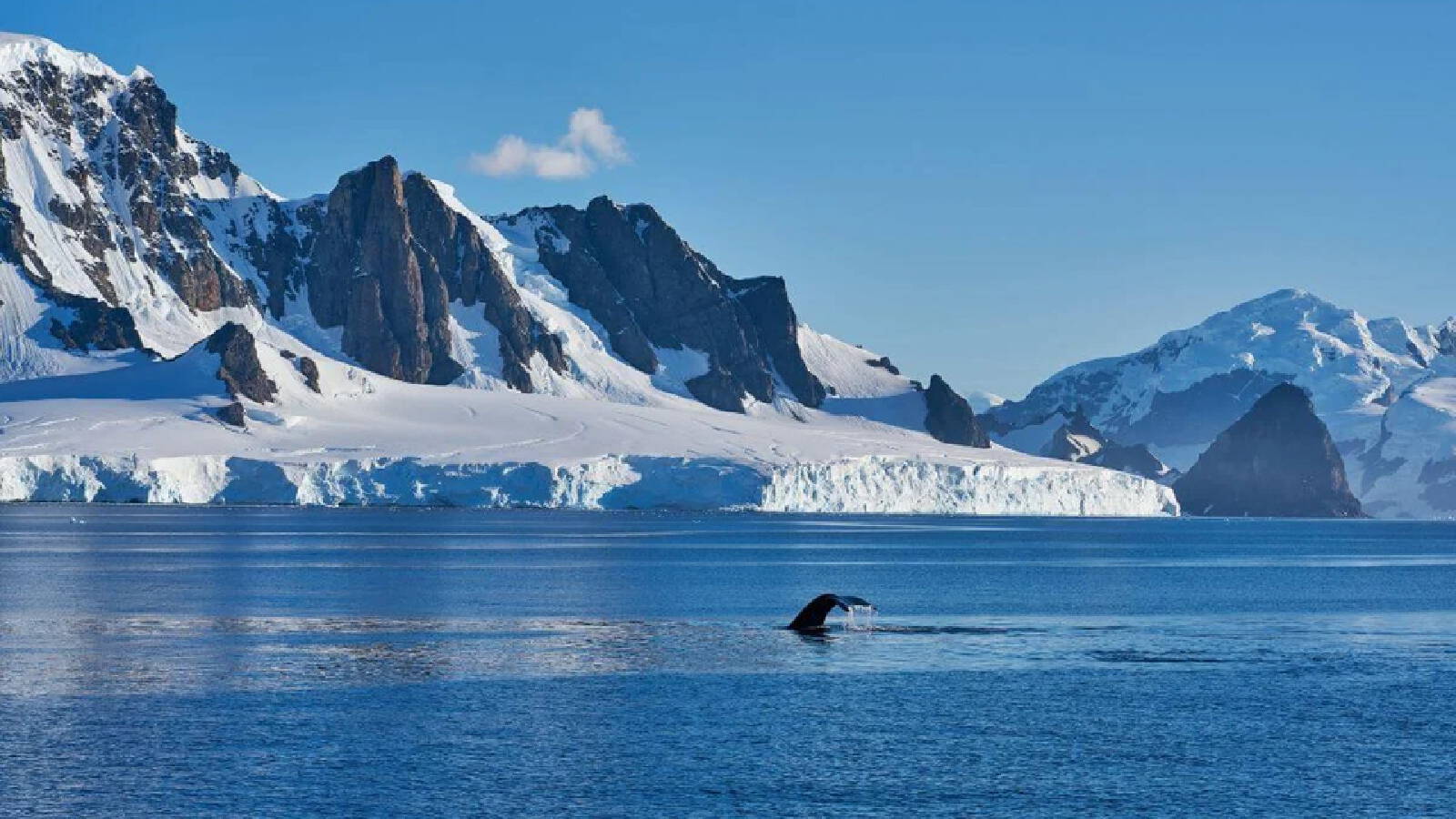 Antarctic Expedition — 17D13N Antarctic Peninsula and South Shetland Islands