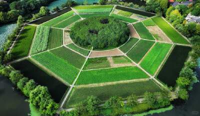 Bagua Field