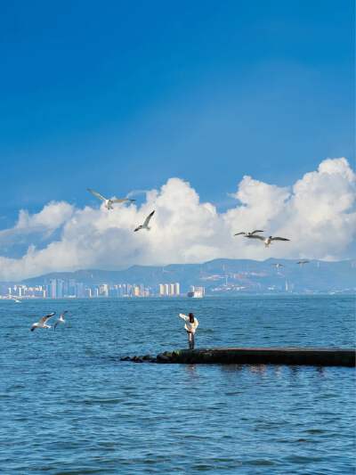 Longkan Wharf (Erhai Sunrise)