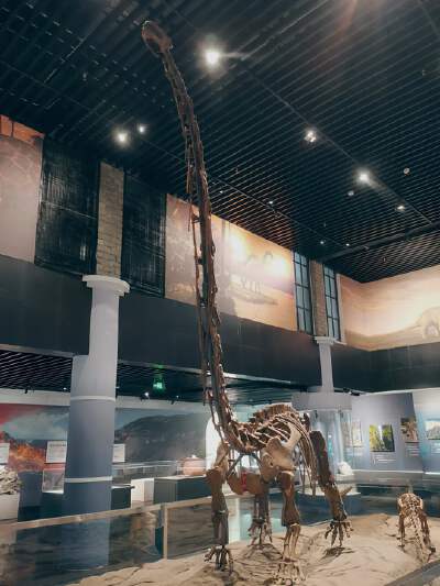 Mount Emei Cultural Museum