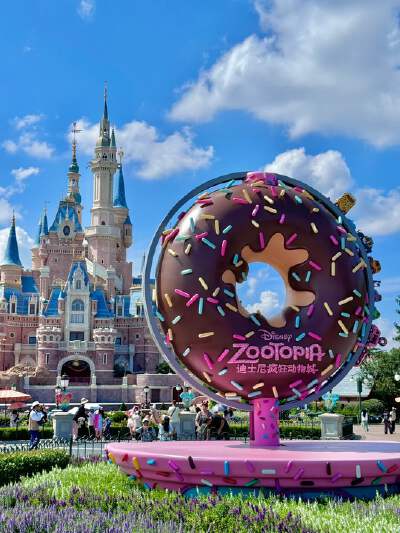 Disneyland.(Include full day pass).