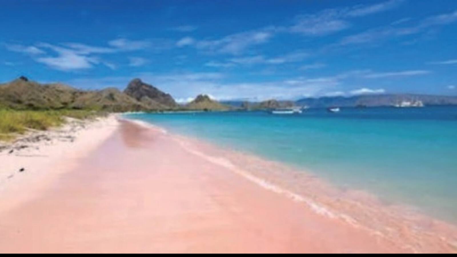 4D3N Komodo Island, Padar & Pink Beach