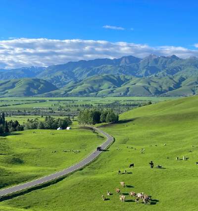 Optional horseback riding for 1-2 hours