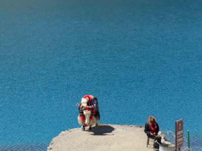 Yamdrok Lake (photo with yaks and Tibetan mastiffs)