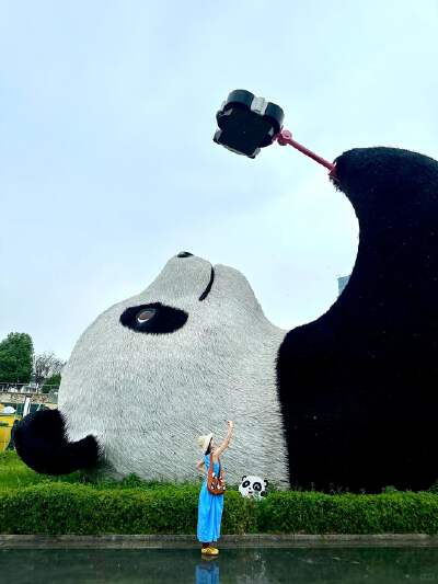 Dujiangyan Panda Park (with electric car)