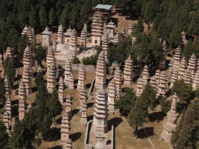 Pagoda Forest
