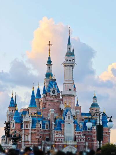 Disneyland.(Include full day pass).