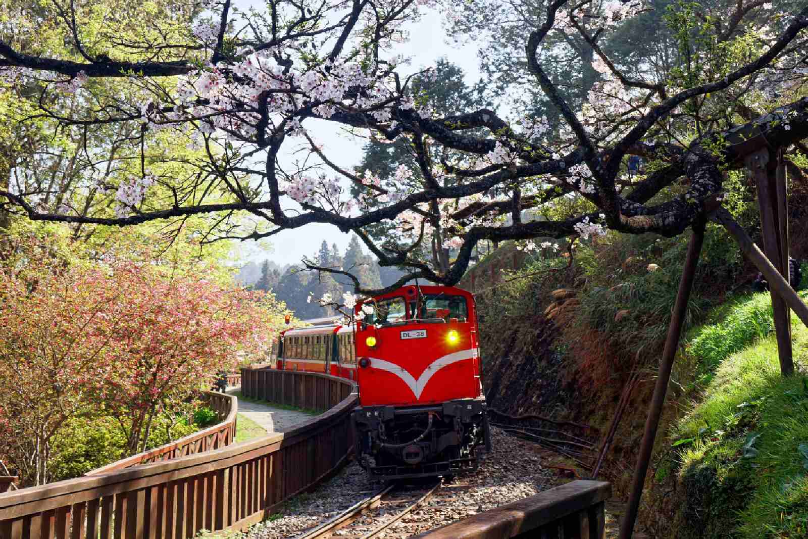 7D6N Western Taiwan Escape