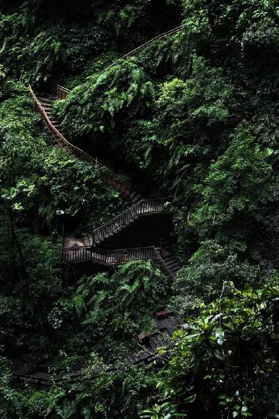 Three Natural Bridges (includes eco-friendly bus, elevator, and electric car)